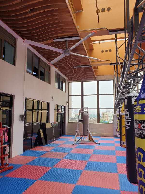 深乐虎88国际永磁变频大吊扇